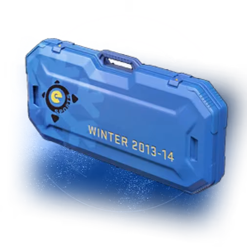 Зимний eSports 2013